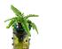 Garden Treasure Bottle Art Kit 1