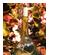 Garden Treasure Bottle Art Kit 2
