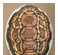 Mosaics: Innovative, Creative Ideas & Designs 2