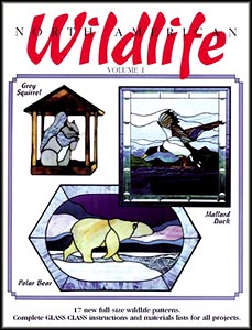 North American Wildlife, Vol. 1, Animals & Outdoors