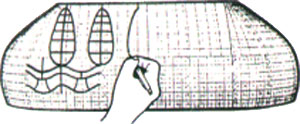 Lamp designing grid for c234