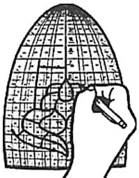 Lamp designing grid for g16 form