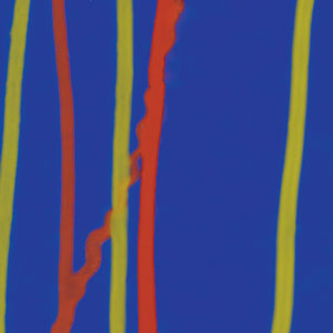 Wasser Wired, Patterned Glass