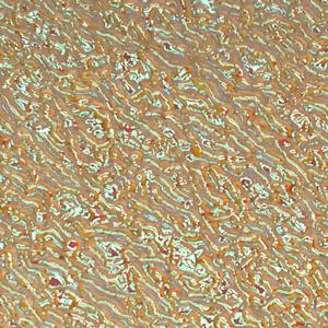 Dichroic Pink / Teal on Clear Ripple - 4 x 4, CBS 4x4 on Ripple