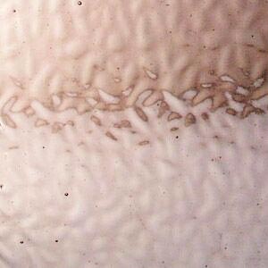 English Muffle Champagne Pink