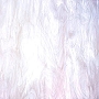 Spectrum Clear & White Opal