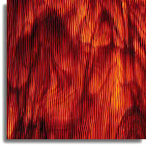 spectrum brown & gold streaky, chord