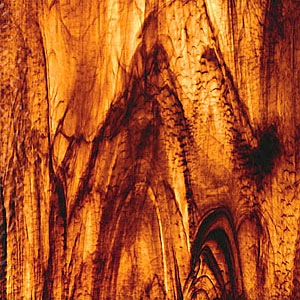 spectrum rootbeer: brown/ gold streaky, granite