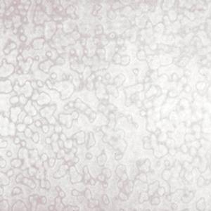 uroboros white ring mottle, Mottled