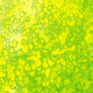 uroboros light green with spring green highlights, Mottled