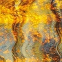 Uroboros Butterscotch & Coffee Herringbone Ripple