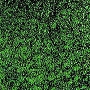 Uroboros Emerald Ripple Iridized - 90 COE