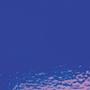 Uroboros Cobalt Blue Transparent - 90 Coe