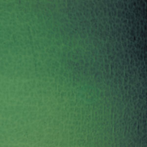 uroboros kelly green transparent - 90 coe