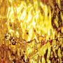 Spectrum GoldWater Waterglass SilverCoats Mirror