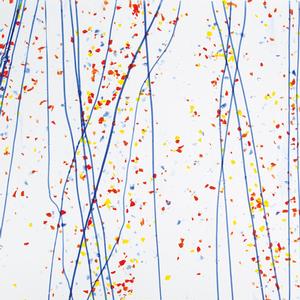 10 x 16 bullseye mardigras yellow blue red.w/ bl streamers