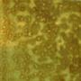 12 x 12 Youghiogheny Autumn Gold, Yellow Mottled