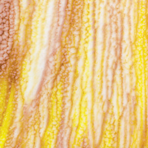Wasser Sunrise, Patterned Glass