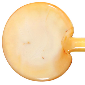 Opal Yellow Opal Rods, Premium Opaque Rod Packs