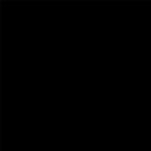 Bullseye Stiff Black Opal - 90 COE