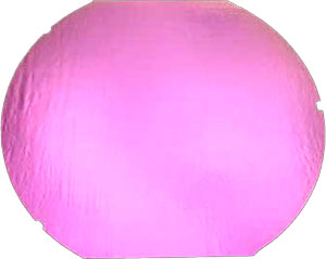 Dichroic Green/ Pink On Black - Full Sheet, CBS Full Sheet on Standards