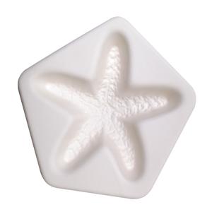 Starfish Casting Mold