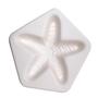 Starfish Casting Mold