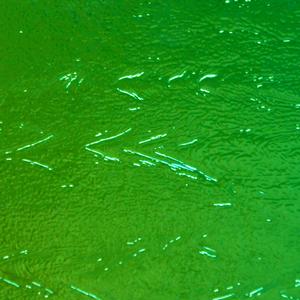 Dichroic Emerald On Thin Black -1/4 Sheet, CBS 1/4 Sheet on Thin