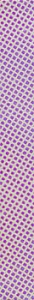 Dichroic Strip - Squares on Thin Clear (96 coe), Strips