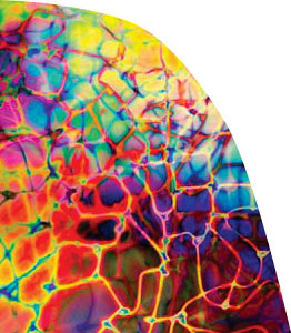 Reptile Dichroic on Thin Black - 1/4 Sheet, CBS 1/4 Sheet Patterns