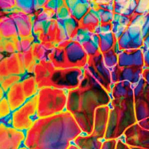 Reptile Dichroic on Thin Black - 4 x 4, 90 COE Dichroic Sale