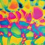 Cool Lava Dichroic on Thin Clear - 4 x 4