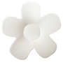 6-1/2 Flower Dish