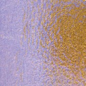 Dichroic 96 Coe Yellow/ Violet On Thin Black - 4 X 4, CBS 4x4 on Thin Black