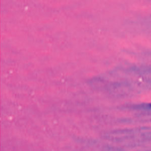 Dichroic 96 Coe Green/ Magenta On Thin Black - 4 X 4, CBS 4x4 on Thin Black