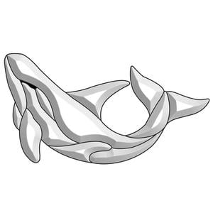 Killer Whale Bevel Cluster, Animal Clusters