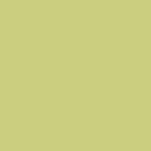 Light Green Opaque Fusible Enamel - 1 oz, Powder Enamels