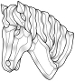 Horse Head Cluster