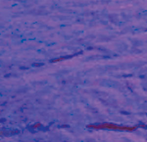 Dichroic 96 Coe Purple On Thin Clear - 4 X 4, 96 COE Dichroic Sale
