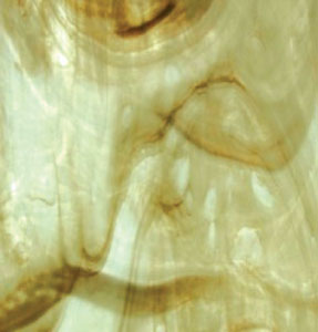Wissmach Swirled Medium Gray & Brown Wispy Stained Glass