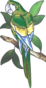 Green Colored Parrot Bevel Cluster, Birds & Insect Clusters
