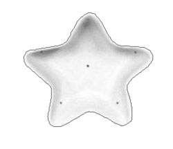5 Star Mold, Other Special Order Molds
