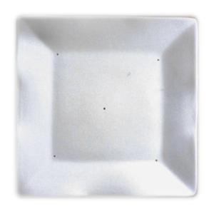 10 Square Ruffle Sushi Dish