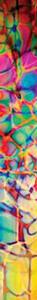 Dichroic Strip - Reptile on Thin Clear (96 COE), Strips