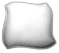 11 Deep Abstract Plate, Special Order Plate & Platter Molds