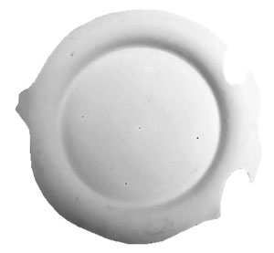 14-3/4 x 13-3/8 Fish Plate, Other Special Order Molds