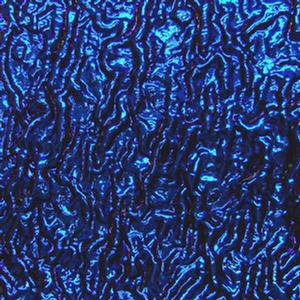 Dichroic Yellow/ Blue on Black Ripple - 1/4 Sheet, CBS 1/4 Sheet on Ripple