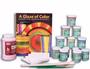 Beginner's Ceramic Kit