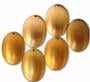 Domed Oval Copper Shape - 6 Pack