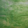 Youghiogheny Ice White And Green Ripple Stipple